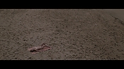 Filename=theinformers10196.jpg
Filesize=482KiB
Dimensions=1920x1080
Date added=Apr 19, 2021 theinformers10196.jpg