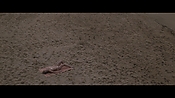Filename=theinformers10202.jpg
Filesize=541KiB
Dimensions=1920x1080
Date added=Apr 19, 2021 theinformers10202.jpg