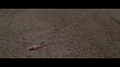 Filename=theinformers10206.jpg
Filesize=561KiB
Dimensions=1920x1080
Date added=Apr 19, 2021 theinformers10206.jpg