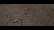 Filename=theinformers10208.jpg
Filesize=549KiB
Dimensions=1920x1080
Date added=Apr 19, 2021 theinformers10208.jpg