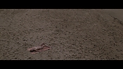 Filename=theinformers10213.jpg
Filesize=546KiB
Dimensions=1920x1080
Date added=Apr 19, 2021 theinformers10213.jpg