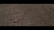 Filename=theinformers10218.jpg
Filesize=569KiB
Dimensions=1920x1080
Date added=Apr 19, 2021 theinformers10218.jpg