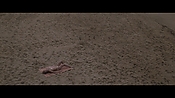 Filename=theinformers10219.jpg
Filesize=550KiB
Dimensions=1920x1080
Date added=Apr 19, 2021 theinformers10219.jpg