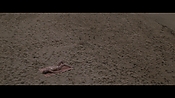 Filename=theinformers10221.jpg
Filesize=571KiB
Dimensions=1920x1080
Date added=Apr 19, 2021 theinformers10221.jpg