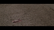 Filename=theinformers10223.jpg
Filesize=548KiB
Dimensions=1920x1080
Date added=Apr 19, 2021 theinformers10223.jpg