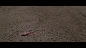 Filename=theinformers10224.jpg
Filesize=546KiB
Dimensions=1920x1080
Date added=Apr 19, 2021 theinformers10224.jpg