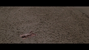 Filename=theinformers10229.jpg
Filesize=499KiB
Dimensions=1920x1080
Date added=Apr 19, 2021 theinformers10229.jpg