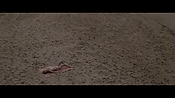 Filename=theinformers10230.jpg
Filesize=514KiB
Dimensions=1920x1080
Date added=Apr 19, 2021 theinformers10230.jpg