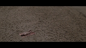 Filename=theinformers10233.jpg
Filesize=550KiB
Dimensions=1920x1080
Date added=Apr 19, 2021 theinformers10233.jpg