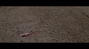 Filename=theinformers10237.jpg
Filesize=542KiB
Dimensions=1920x1080
Date added=Apr 19, 2021 theinformers10237.jpg
