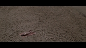 Filename=theinformers10238.jpg
Filesize=540KiB
Dimensions=1920x1080
Date added=Apr 19, 2021 theinformers10238.jpg