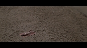 Filename=theinformers10239.jpg
Filesize=562KiB
Dimensions=1920x1080
Date added=Apr 19, 2021 theinformers10239.jpg