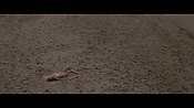 Filename=theinformers10240.jpg
Filesize=554KiB
Dimensions=1920x1080
Date added=Apr 19, 2021 theinformers10240.jpg