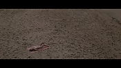 Filename=theinformers10258.jpg
Filesize=522KiB
Dimensions=1920x1080
Date added=Apr 19, 2021 theinformers10258.jpg