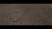 Filename=theinformers10264.jpg
Filesize=500KiB
Dimensions=1920x1080
Date added=Apr 19, 2021 theinformers10264.jpg