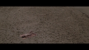 Filename=theinformers10269.jpg
Filesize=552KiB
Dimensions=1920x1080
Date added=Apr 19, 2021 theinformers10269.jpg