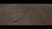 Filename=theinformers10283.jpg
Filesize=548KiB
Dimensions=1920x1080
Date added=Apr 19, 2021 theinformers10283.jpg