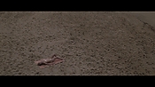 Filename=theinformers10287.jpg
Filesize=570KiB
Dimensions=1920x1080
Date added=Apr 19, 2021 theinformers10287.jpg