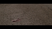 Filename=theinformers10288.jpg
Filesize=556KiB
Dimensions=1920x1080
Date added=Apr 19, 2021 theinformers10288.jpg