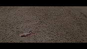 Filename=theinformers10293.jpg
Filesize=511KiB
Dimensions=1920x1080
Date added=Apr 19, 2021 theinformers10293.jpg