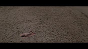 Filename=theinformers10301.jpg
Filesize=543KiB
Dimensions=1920x1080
Date added=Apr 19, 2021 theinformers10301.jpg