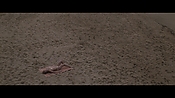 Filename=theinformers10304.jpg
Filesize=547KiB
Dimensions=1920x1080
Date added=Apr 19, 2021 theinformers10304.jpg