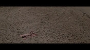Filename=theinformers10309.jpg
Filesize=544KiB
Dimensions=1920x1080
Date added=Apr 19, 2021 theinformers10309.jpg