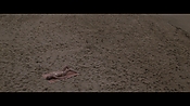 Filename=theinformers10310.jpg
Filesize=545KiB
Dimensions=1920x1080
Date added=Apr 19, 2021 theinformers10310.jpg
