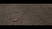 Filename=theinformers10312.jpg
Filesize=556KiB
Dimensions=1920x1080
Date added=Apr 19, 2021 theinformers10312.jpg