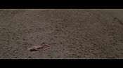 Filename=theinformers10315.jpg
Filesize=550KiB
Dimensions=1920x1080
Date added=Apr 19, 2021 theinformers10315.jpg