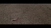 Filename=theinformers10318.jpg
Filesize=552KiB
Dimensions=1920x1080
Date added=Apr 19, 2021 theinformers10318.jpg