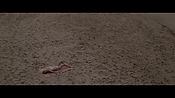 Filename=theinformers10322.jpg
Filesize=549KiB
Dimensions=1920x1080
Date added=Apr 19, 2021 theinformers10322.jpg