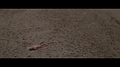 Filename=theinformers10323.jpg
Filesize=571KiB
Dimensions=1920x1080
Date added=Apr 19, 2021 theinformers10323.jpg