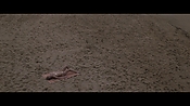 Filename=theinformers10325.jpg
Filesize=516KiB
Dimensions=1920x1080
Date added=Apr 19, 2021 theinformers10325.jpg