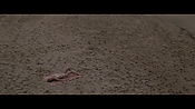 Filename=theinformers10329.jpg
Filesize=511KiB
Dimensions=1920x1080
Date added=Apr 19, 2021 theinformers10329.jpg