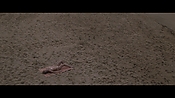 Filename=theinformers10333.jpg
Filesize=532KiB
Dimensions=1920x1080
Date added=Apr 19, 2021 theinformers10333.jpg