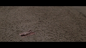 Filename=theinformers10334.jpg
Filesize=535KiB
Dimensions=1920x1080
Date added=Apr 19, 2021 theinformers10334.jpg