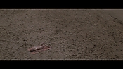 Filename=theinformers10345.jpg
Filesize=542KiB
Dimensions=1920x1080
Date added=Apr 19, 2021 theinformers10345.jpg