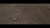 Filename=theinformers10366.jpg
Filesize=533KiB
Dimensions=1920x1080
Date added=Apr 19, 2021 theinformers10366.jpg