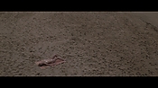 Filename=theinformers10367.jpg
Filesize=535KiB
Dimensions=1920x1080
Date added=Apr 19, 2021 theinformers10367.jpg