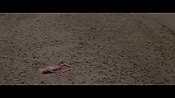 Filename=theinformers10369.jpg
Filesize=542KiB
Dimensions=1920x1080
Date added=Apr 19, 2021 theinformers10369.jpg