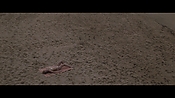 Filename=theinformers10370.jpg
Filesize=543KiB
Dimensions=1920x1080
Date added=Apr 19, 2021 theinformers10370.jpg
