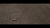 Filename=theinformers10372.jpg
Filesize=548KiB
Dimensions=1920x1080
Date added=Apr 19, 2021 theinformers10372.jpg