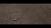 Filename=theinformers10376.jpg
Filesize=548KiB
Dimensions=1920x1080
Date added=Apr 19, 2021 theinformers10376.jpg