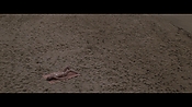 Filename=theinformers10379.jpg
Filesize=548KiB
Dimensions=1920x1080
Date added=Apr 19, 2021 theinformers10379.jpg