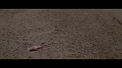 Filename=theinformers10381.jpg
Filesize=545KiB
Dimensions=1920x1080
Date added=Apr 19, 2021 theinformers10381.jpg