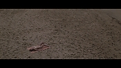 Filename=theinformers10386.jpg
Filesize=572KiB
Dimensions=1920x1080
Date added=Apr 19, 2021 theinformers10386.jpg