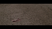 Filename=theinformers10388.jpg
Filesize=544KiB
Dimensions=1920x1080
Date added=Apr 19, 2021 theinformers10388.jpg