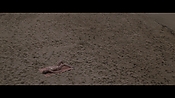 Filename=theinformers10391.jpg
Filesize=522KiB
Dimensions=1920x1080
Date added=Apr 19, 2021 theinformers10391.jpg