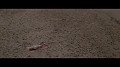 Filename=theinformers10394.jpg
Filesize=495KiB
Dimensions=1920x1080
Date added=Apr 19, 2021 theinformers10394.jpg